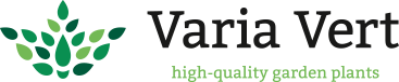 Varia Vert – high-quality garden plants